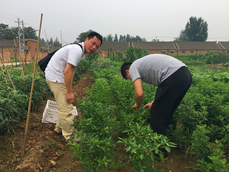 好利來郭總喊您來摘菜啦！綠色無公害，放心！